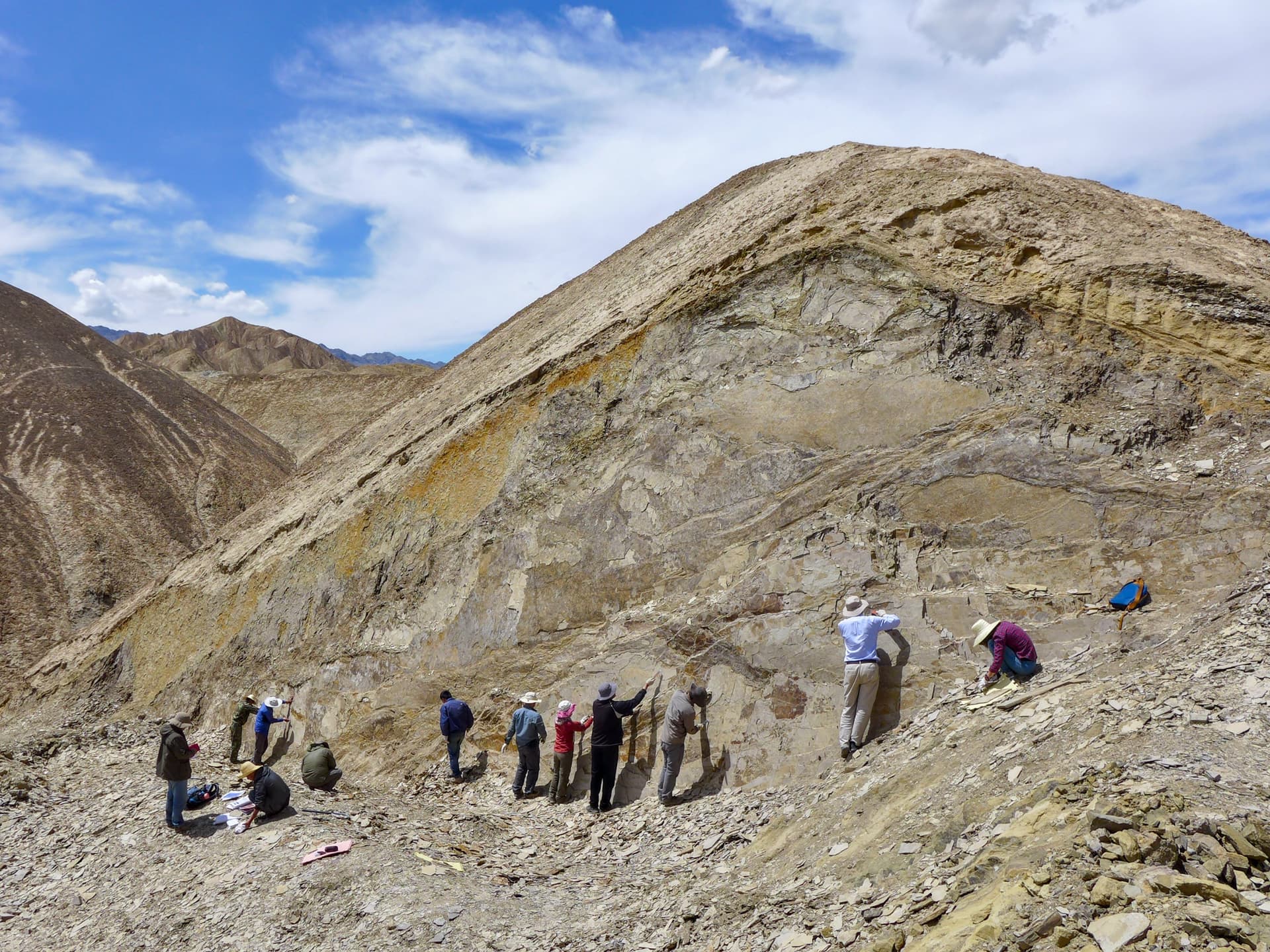 Jingmai O'Connor during field work